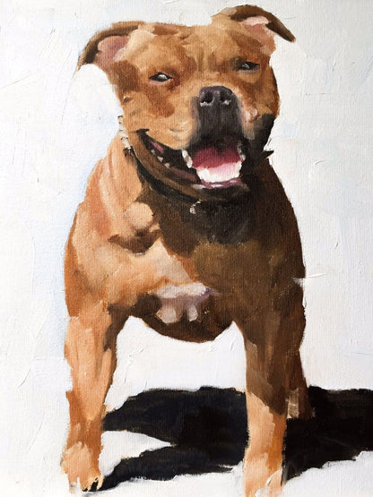 Dog Staffordshire Bull Terrier | Diamond Painting