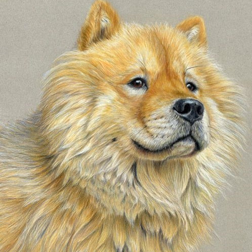 Dog Chow Chow | Diamond Painting