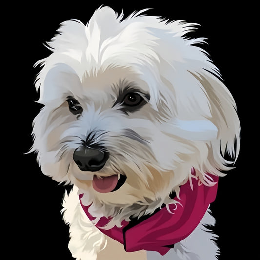 Maltese Dog | Diamond Painting