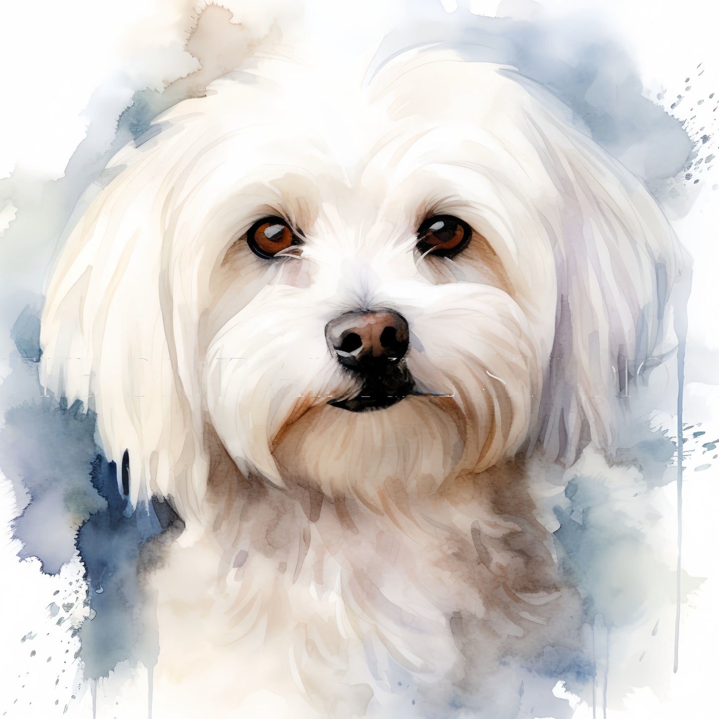 Maltese Dog | Diamond Painting