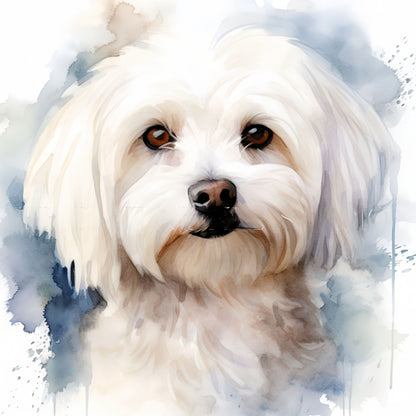 Maltese Dog | Diamond Painting