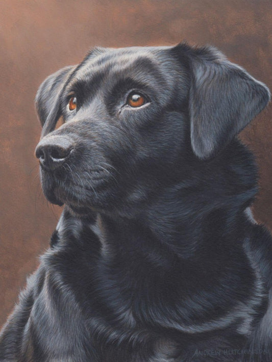 Black Labrador Dog | Diamond Painting