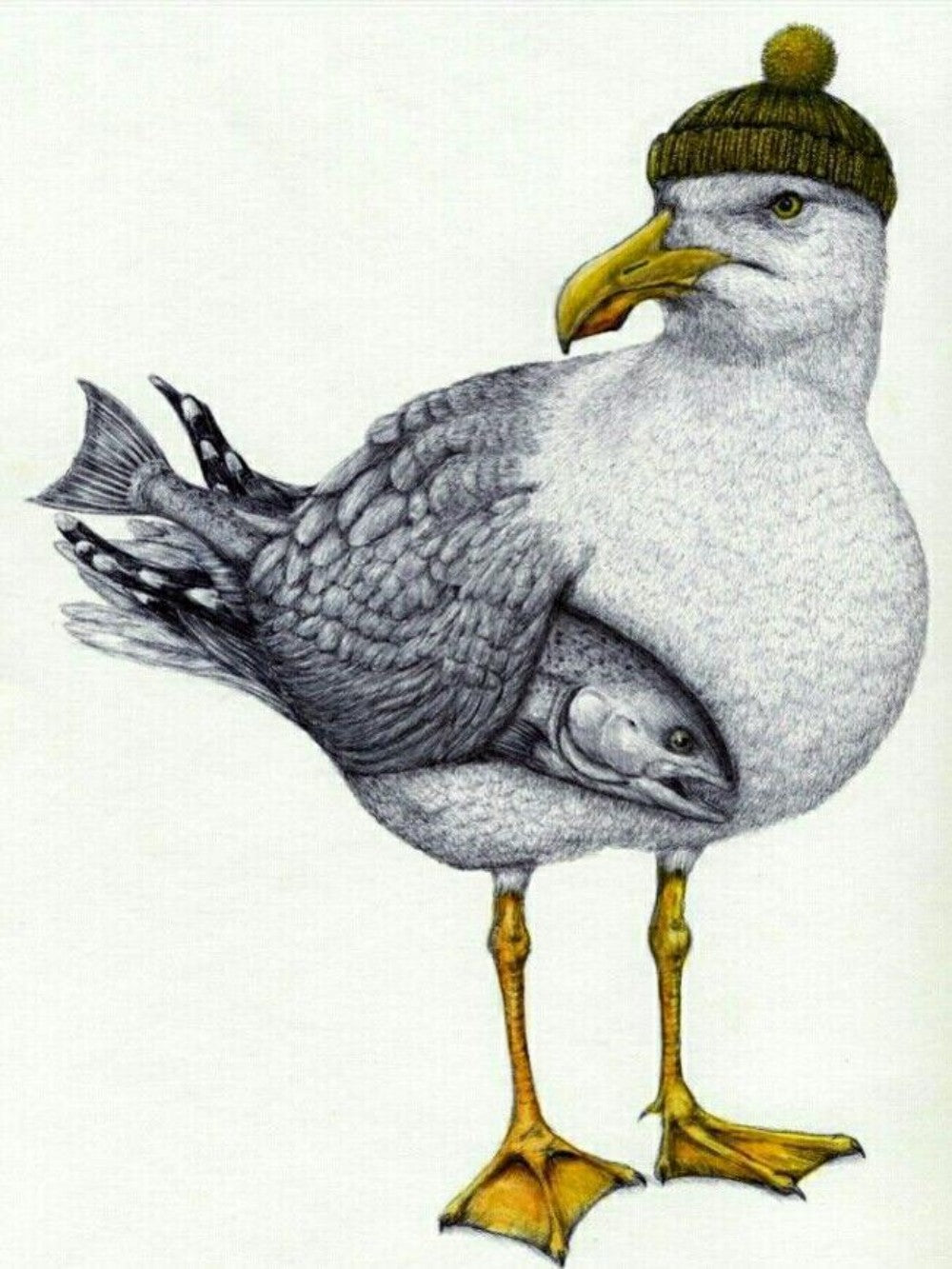 Gull | Diamond Painting