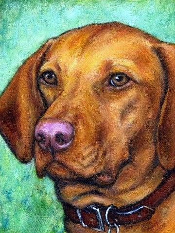 Vizsla Dog | Diamond Painting