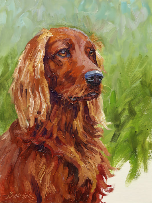 Irish Setter Dog | Diamond Painting