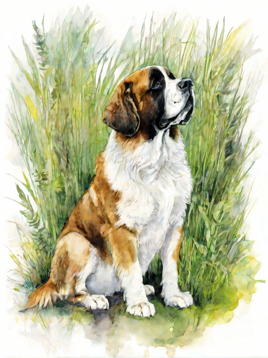Saint Bernard Dog | Diamond Painting