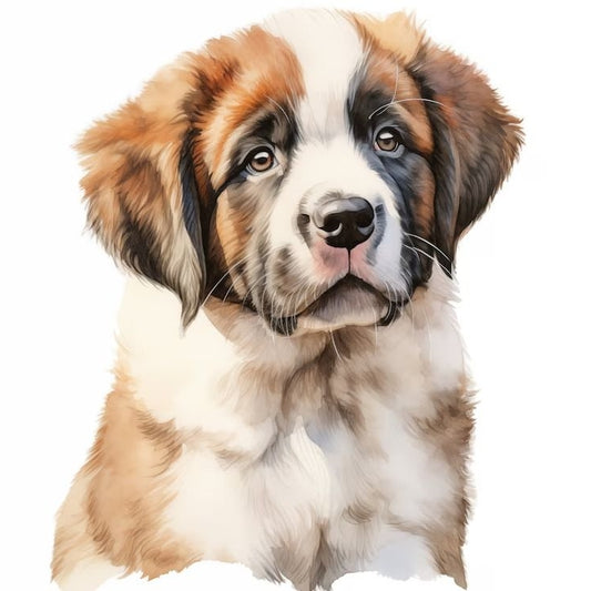 Saint Bernard Dog | Diamond Painting