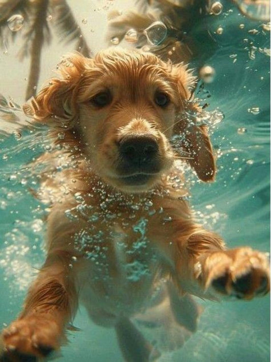 Underwater Dog | Diamond Painting