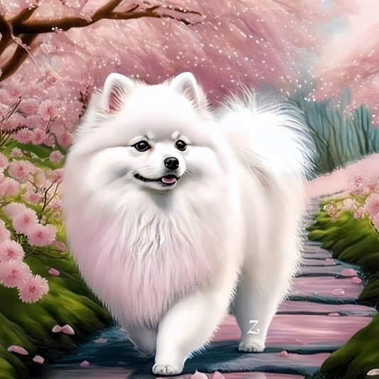 Pomeranian Dog | Diamond Painting