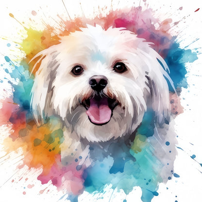 Maltese Dog | Diamond Painting