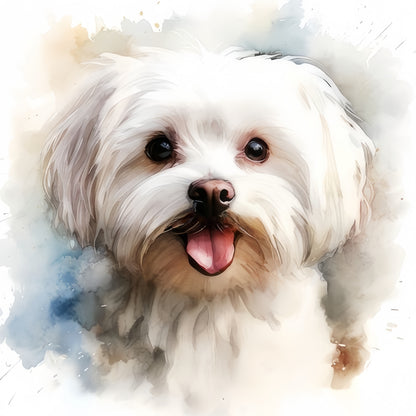 Maltese Dog | Diamond Painting
