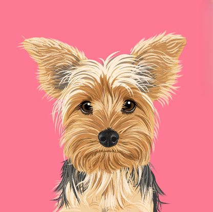 Dog Yorkie | Diamond Painting