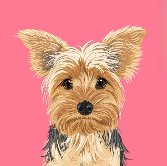 Dog Yorkie | Diamond Painting