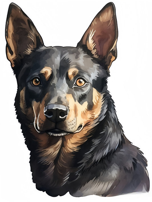 Australian Kelpie Dog | Diamond Painting