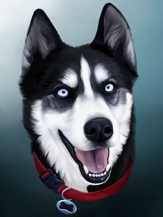 Husky Dog | Diamond Painting