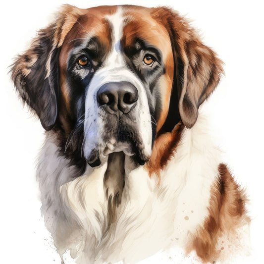 Saint Bernard Dog | Diamond Painting