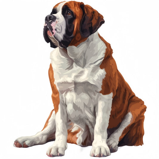 Saint Bernard Dog | Diamond Painting