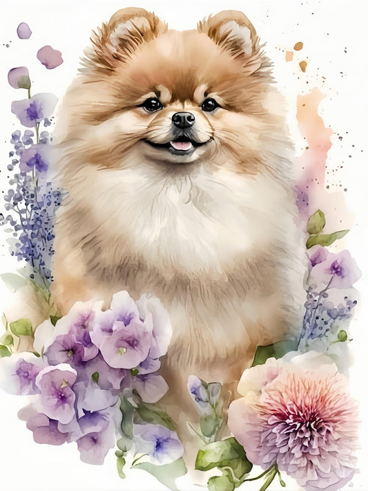 Pomeranian Dog | Diamond Painting