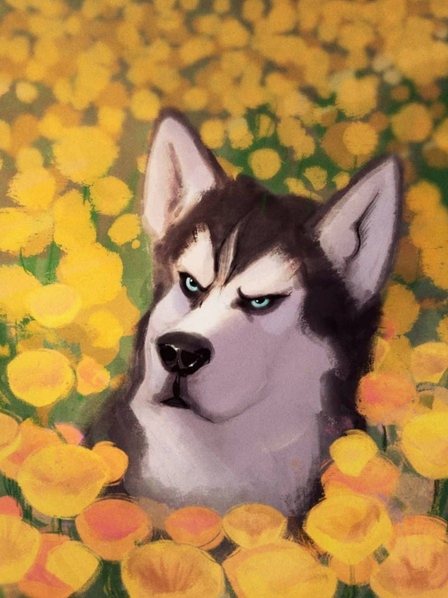 Husky Dog | Diamond Painting