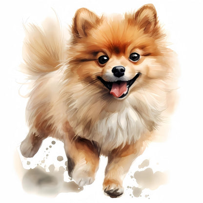 Pomeranian Dog | Diamond Painting