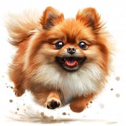 Pomeranian Dog | Diamond Painting