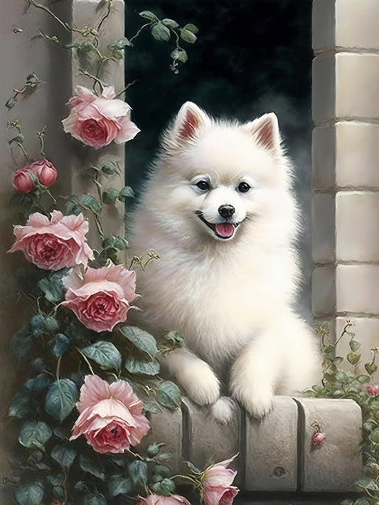 Pomeranian Dog | Diamond Painting