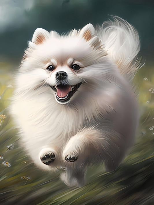 Pomeranian Dog | Diamond Painting