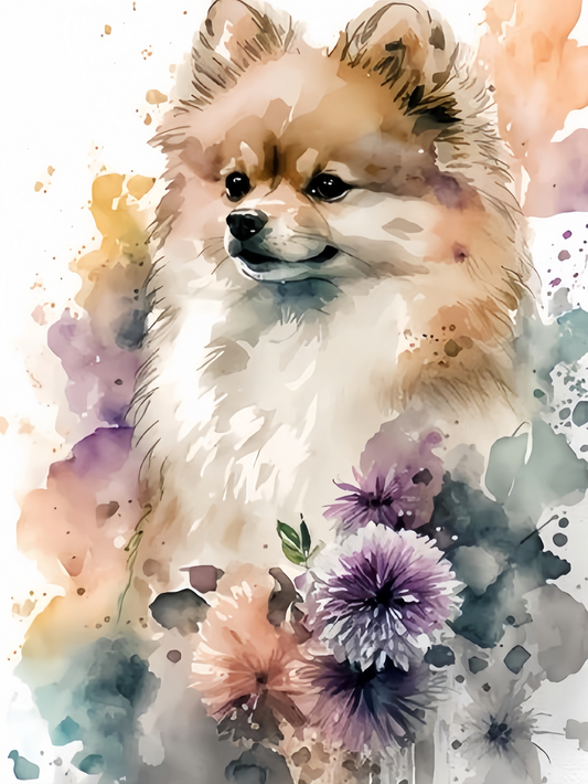 Pomeranian Dog | Diamond Painting