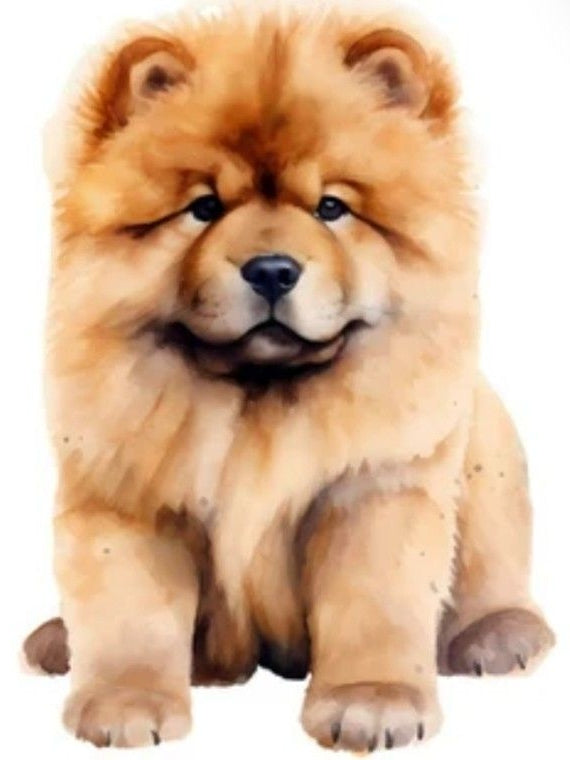 Dog Chow Chow | Diamond Painting