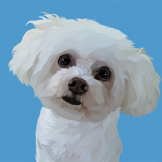 Maltese Dog | Diamond Painting