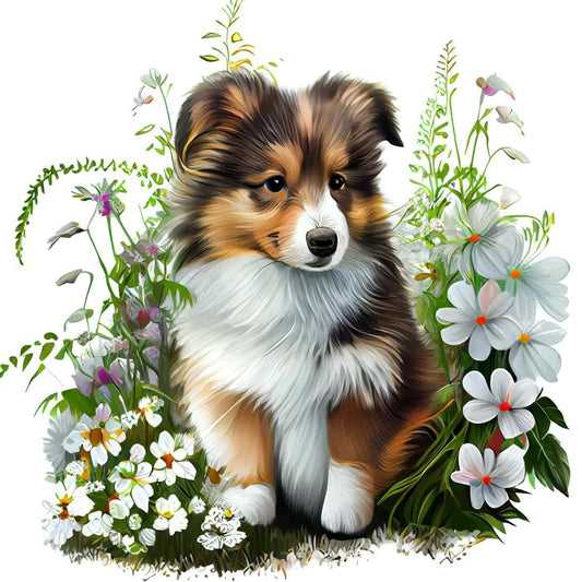 Sheltie Dog | Diamond Painting