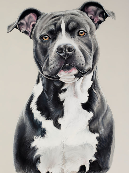 Dog Staffordshire Bull Terrier | Diamond Painting