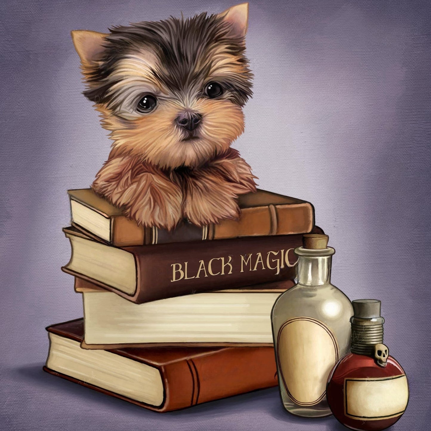 Dog Yorkie | Diamond Painting