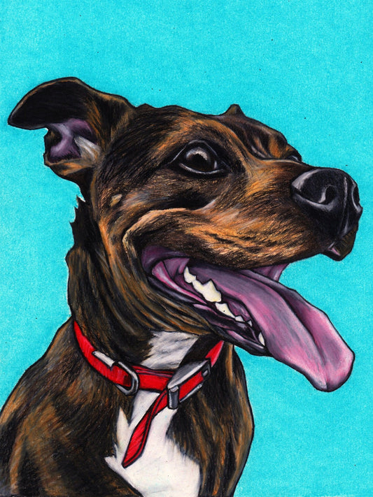 Dog Staffordshire Bull Terrier | Diamond Painting