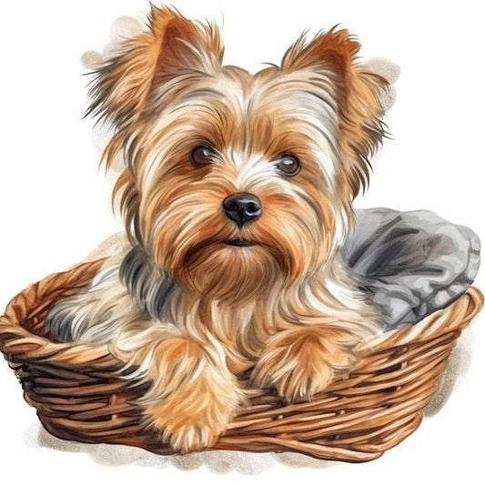 Dog Yorkie | Diamond Painting