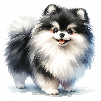 Pomeranian Dog | Diamond Painting