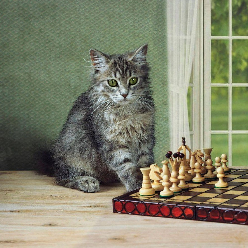 Cats Playing Chess | Diamond Painting