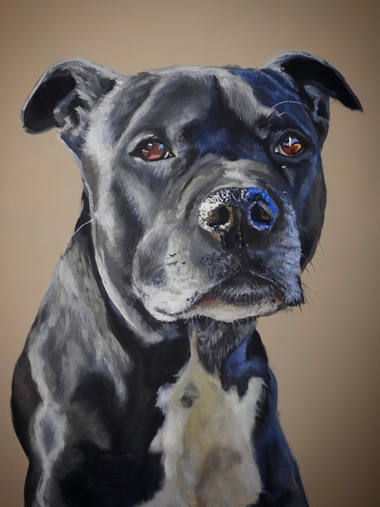 Dog Staffordshire Bull Terrier | Diamond Painting