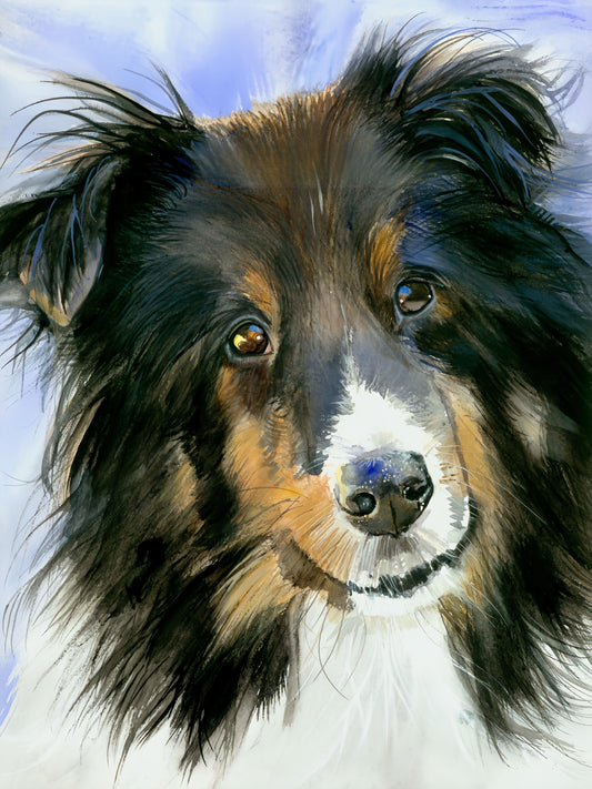 Sheltie Dog | Diamond Painting