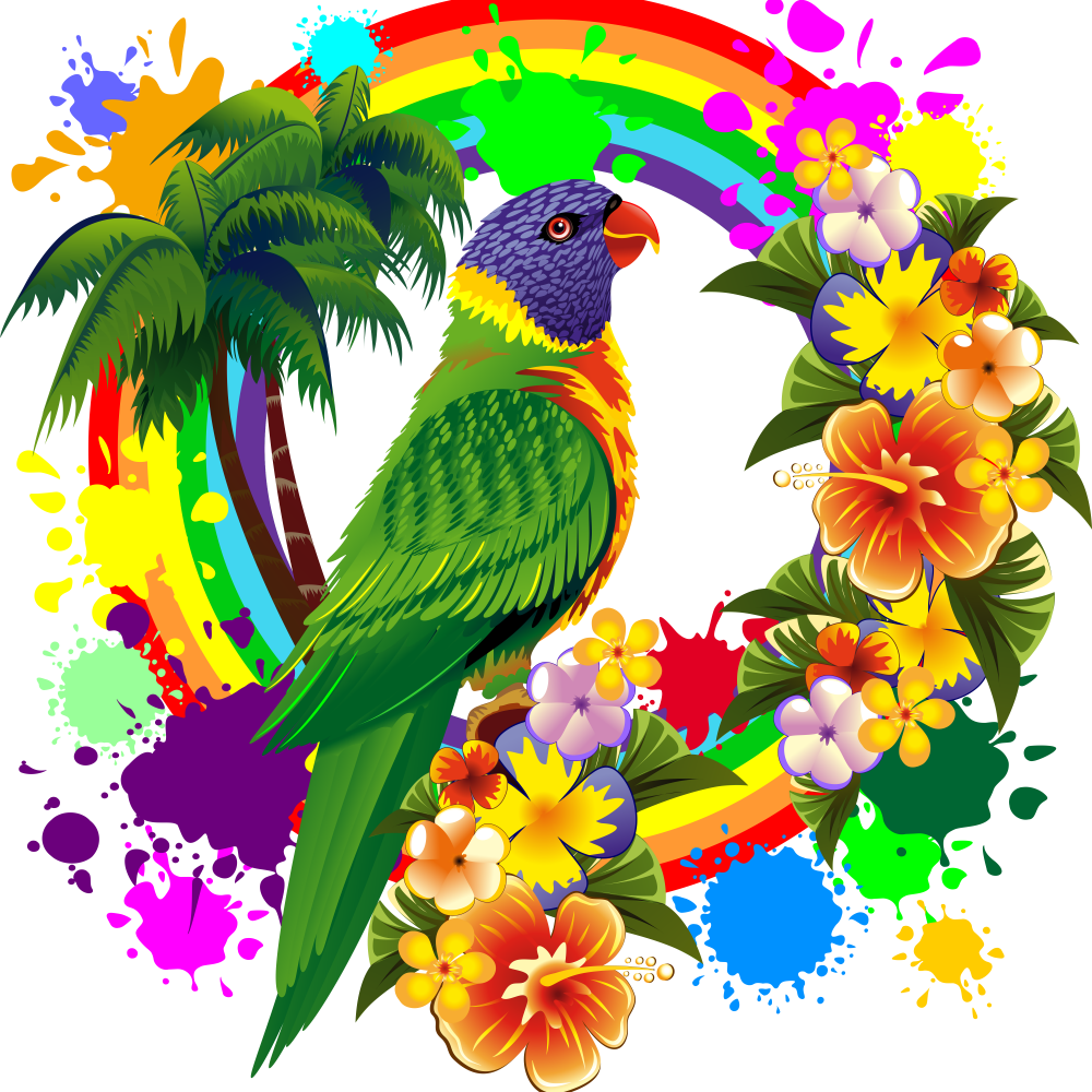 Rainbow Parrots | Diamond Painting