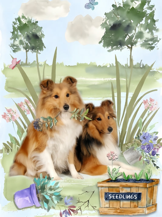 Sheltie Dog | Diamond Painting