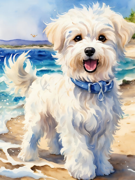 Maltese Dog | Diamond Painting