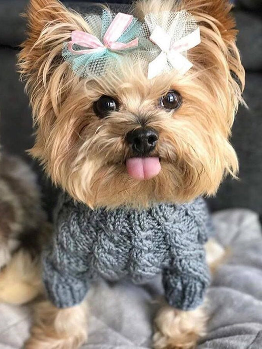 Dog Yorkie | Diamond Painting
