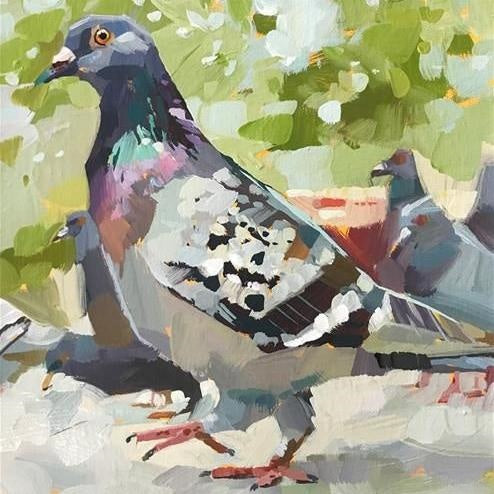 Pigeon | Diamond Painting