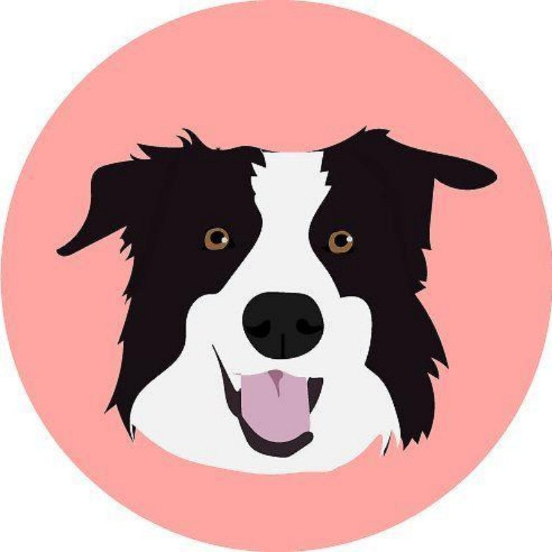 Dog Border Collie | Diamond Painting