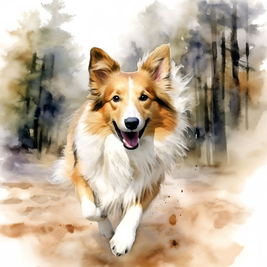 Sheltie Dog | Diamond Painting