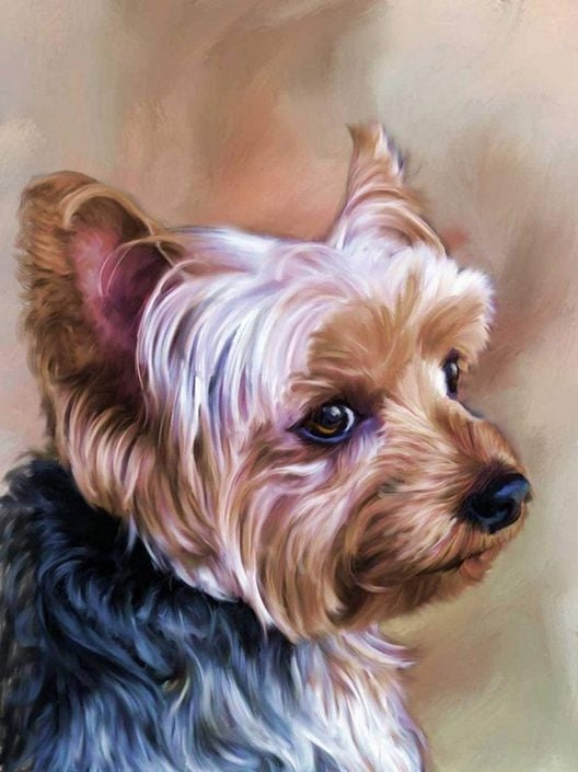 Dog Yorkie | Diamond Painting