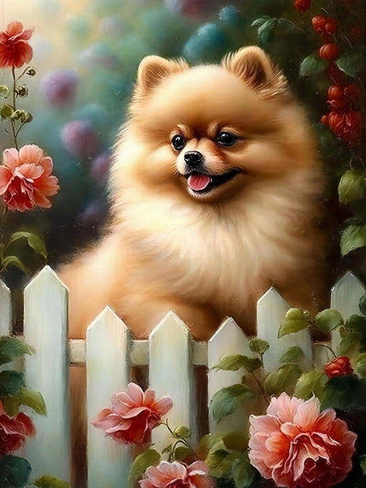 Pomeranian Dog | Diamond Painting