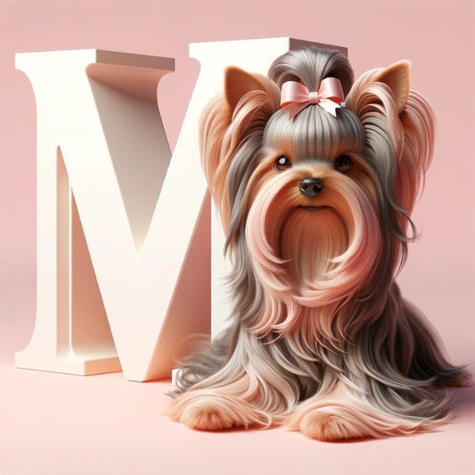 Dog Yorkie | Diamond Painting