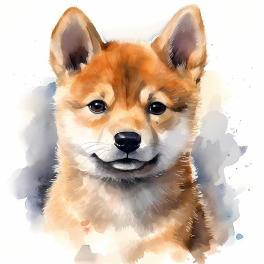 Shiba Inu Dog | Diamond Painting